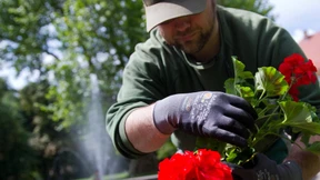 Warum man einen Garten haben sollte