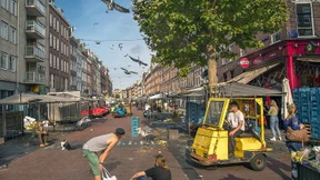 Stadtführer auf vier Pfoten