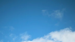 Die Wirtschaft, das bin ich