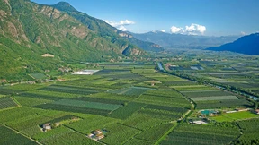 „Suedtirol“ ist keine Marke