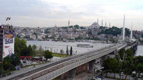 Schwalbe am Bosporus