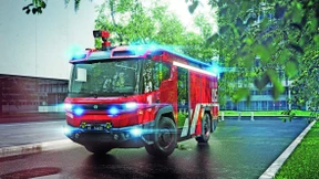 Schönheit ist nicht genug