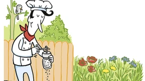 Die Ritze muss leben