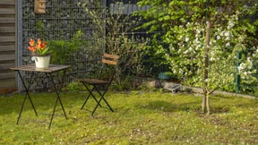 Das Mikrobiom im Garten