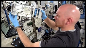 Gersts Experimente in der Schwerelosigkeit