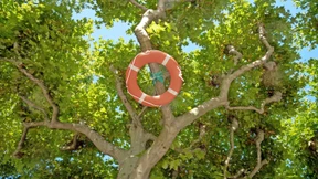 Ein Ring für jedes Flutdorf