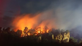 Auch die Klimakrise duldet keinen Aufschub
