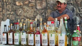 Der Krieg der Agaven