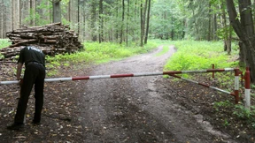 Papageno versus Werther