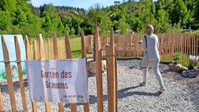 Viele Steine sind der Biene Tod