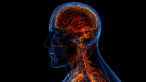 Was 30 Minuten Bewegung im Hirn bewirken