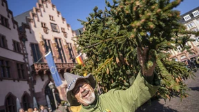 Ein Ersatz-Weihnachtsbaum auf dem Römerberg
