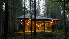 Lichtung und Wahrheit