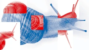 Das Märchen vom schnellen Fortschritt