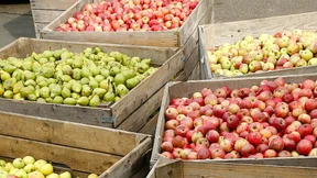 Was macht eigentlich einen guten Saft aus?