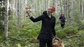 Die Sporen des Nordens