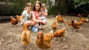 Mietvertrag mit Huhn