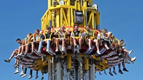 600 Stände und Hühner in der Kiste