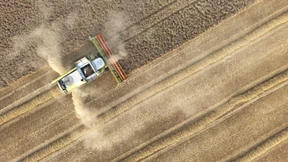 Bauern rechnen mit mäßiger Ernte