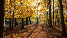 Klimamaschine in Gefahr