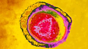 Angriff im Darknet des Immunsystems