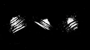 Wenn ganz normale Leute Koks nehmen