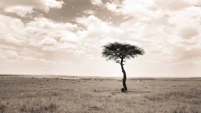 Diese schreckliche Leere