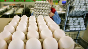 Käfigeier im Weihnachtsgebäck