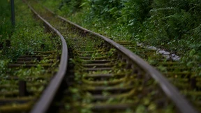 Wohin das Sondervermögen fließt