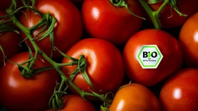 Warum „Bio“ oft nicht auf der Karte steht