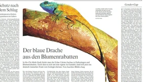 Universum auf Achterbahnfahrt