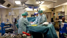 Erstmals in Deutschland Gebärmutter transplantiert