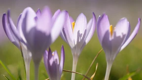 Das erste Frühlingswetter des Jahres