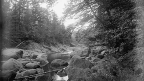 Einmal die Pille danach, bitte