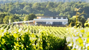 Machtlos gegen Bauprojekte in den Weinbergen