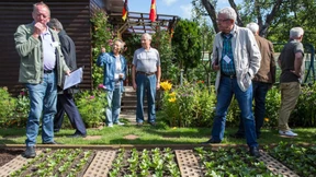 Das Paradies von Cottbus