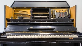 Forschung und Lehre von Oper bis Pop