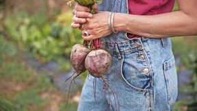 Denn Landfrauen trennen sich nicht