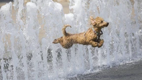 In Baden-Württemberg war es Montag am heißesten