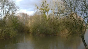 Ein neues Bett für die Nidda