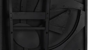 Siegreich  gegen alle  Hindernisse