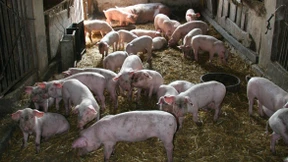 Der Schandfleck im Paradies