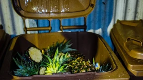 Besser planen, weniger wegwerfen