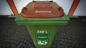 Erst im April mischt sich Bioduft in die Champagnerluft