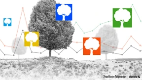 Wem gehört der Wald?