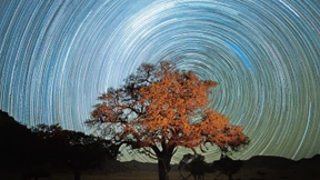 Ökologie ist nicht grün