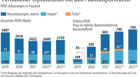 Autoimporteure gegen gekürzte E-Auto-Förderung