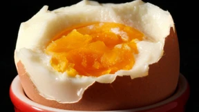 Falsch deklarierte Bio-Eier