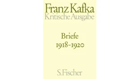 Über das Stürzen klage ich nicht 