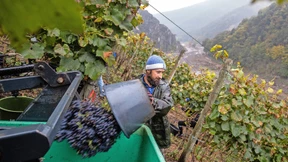 Flut, Frost und Hagel